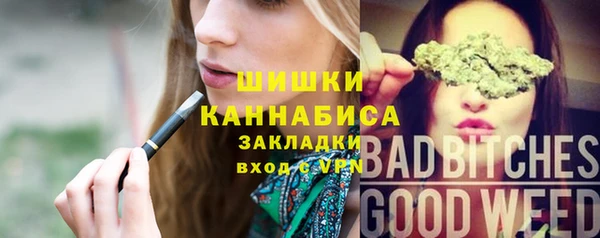 сатива Баксан