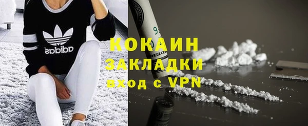 сатива Баксан