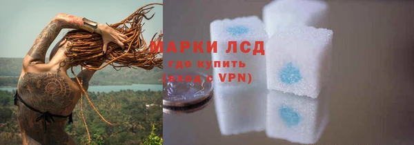 сатива Баксан